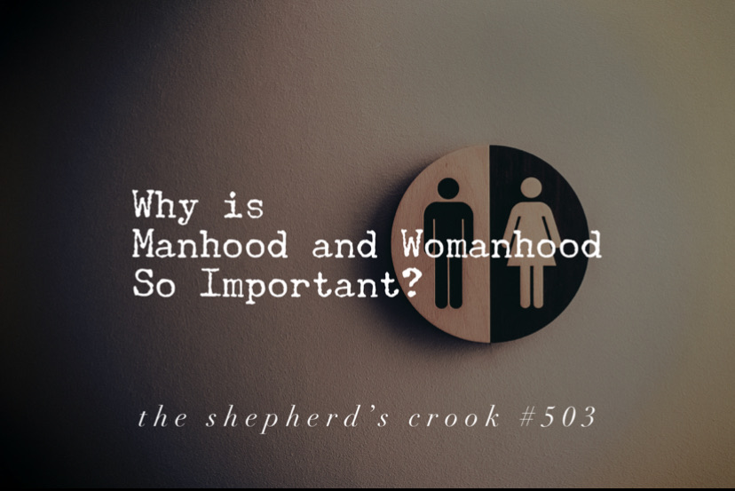 #503 Why Is Manhood and Womanhood So Important?